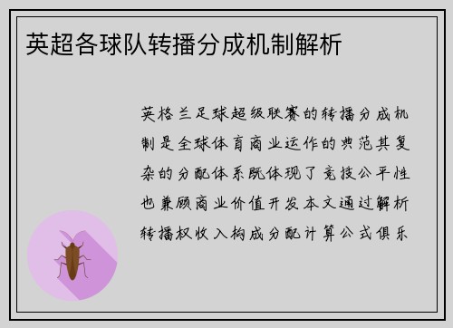 英超各球队转播分成机制解析